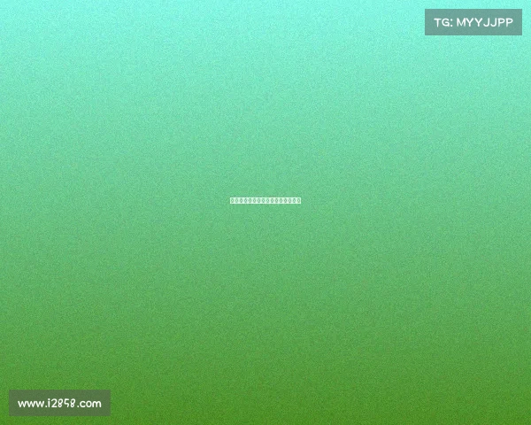 全民赛事自组织运作机制的创新探索