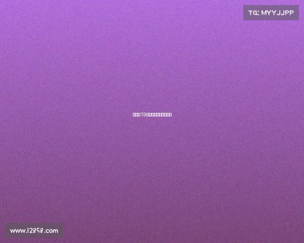 斯巴达19年赛事—斯巴达公开赛